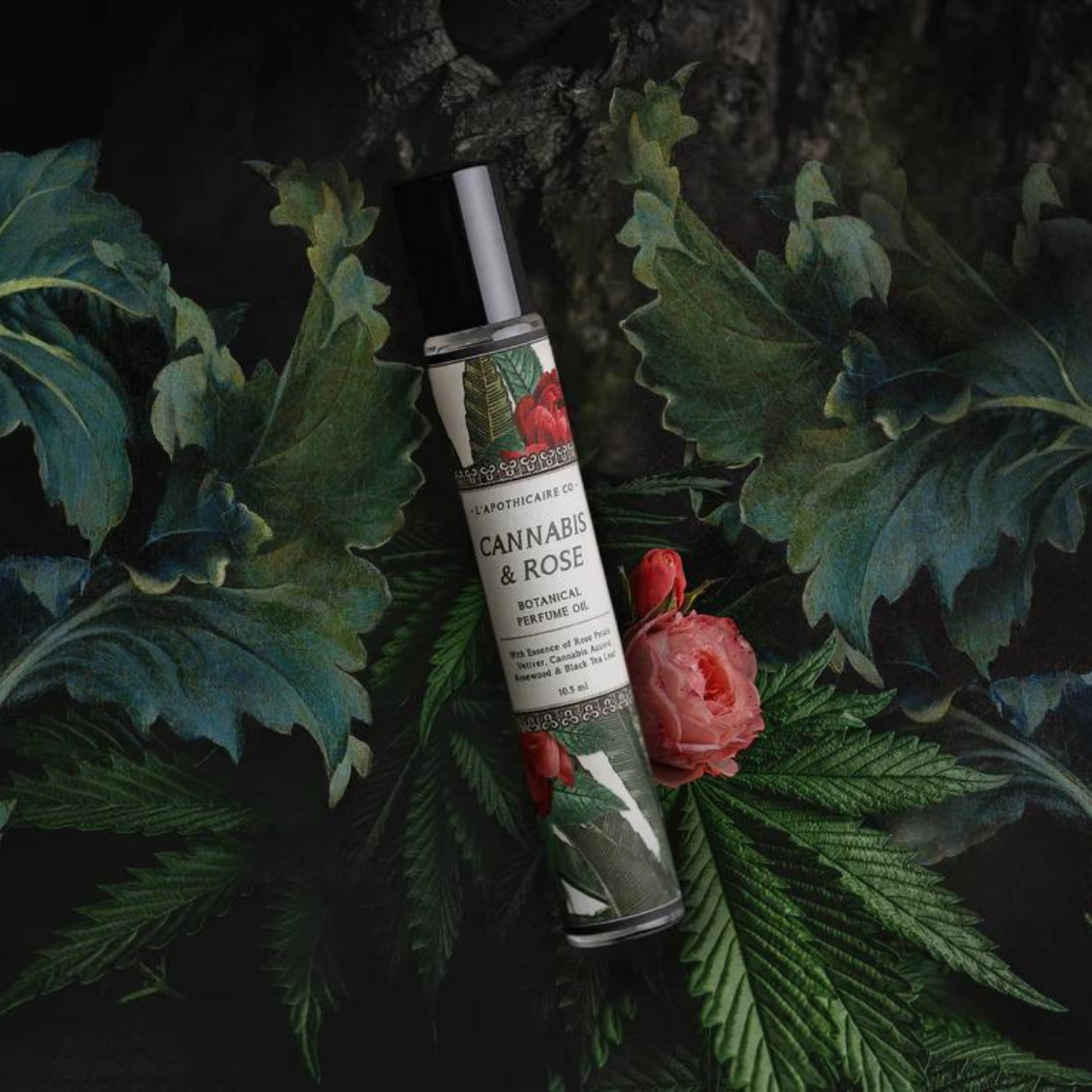 Cannabis + Rose Perfume Oil