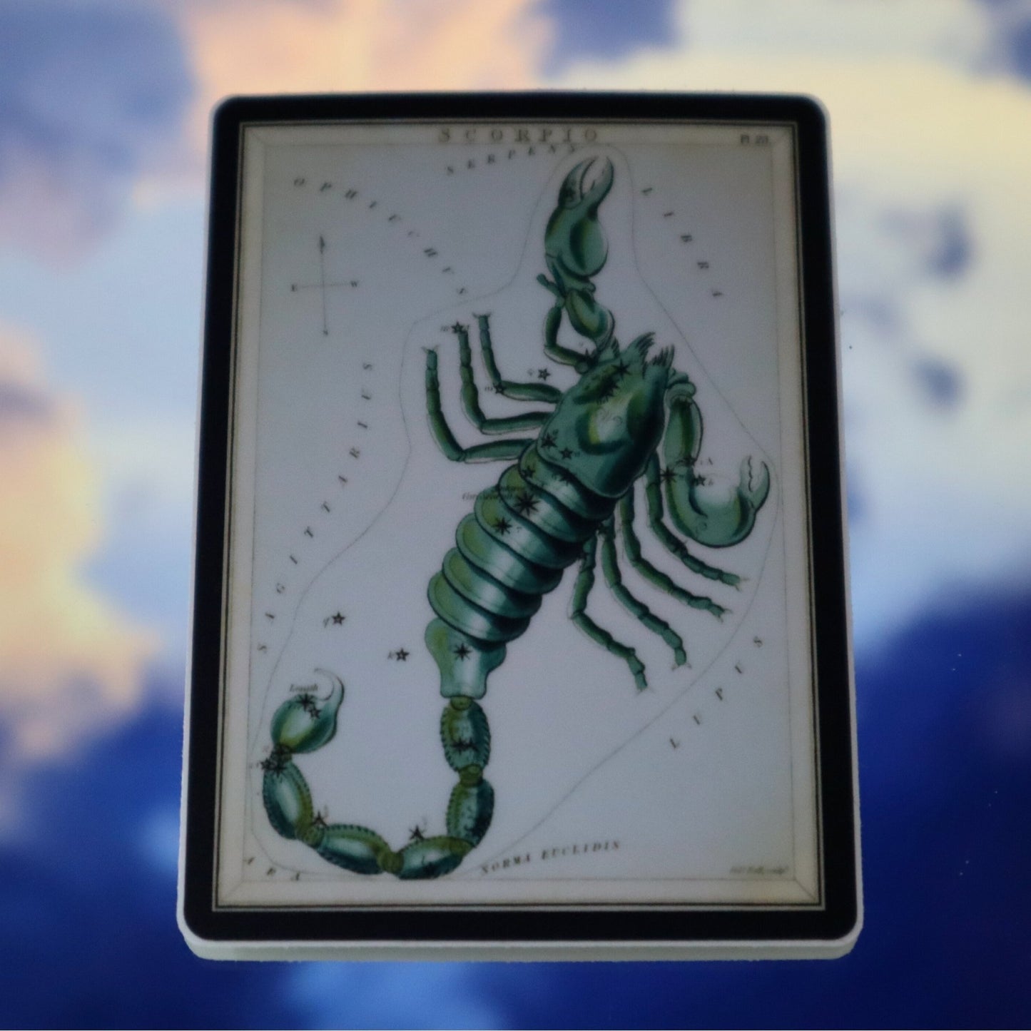 Scorpio Vintage Astrological Sign Sticker